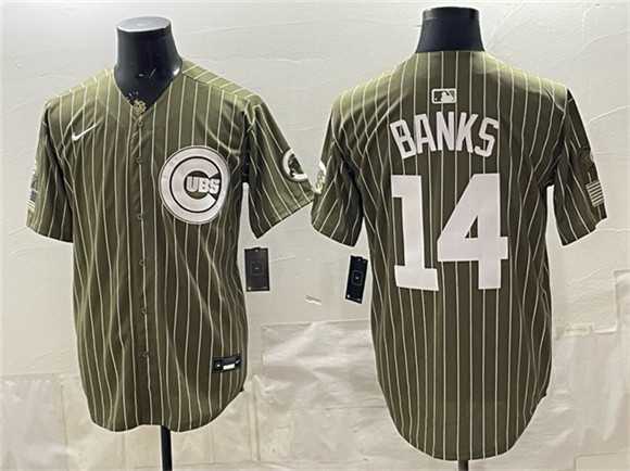 Mens Chicago Cubs #14 Ernie Banks Pinstripe Olive 2026 Armed Forces Day Salute To Service Stitched Jersey Dzhi->chicago cubs->MLB Jersey