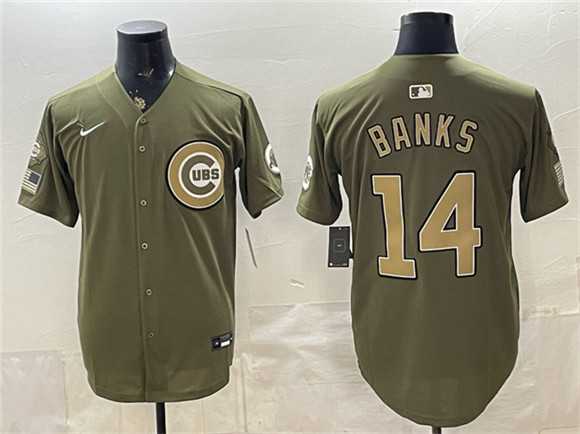 Mens Chicago Cubs #14 Ernie Banks Royal Olive 2026 Armed Forces Day Salute To Service Stitched Jersey Dzhi->chicago cubs->MLB Jersey