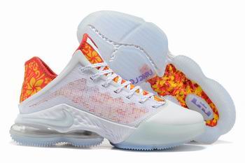 cheap Nike Lebron james shoes for sale in china->nike series->Sneakers