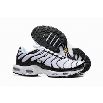 buy wholesale Nike Air Max TN shoes in china->nike air max tn->Sneakers